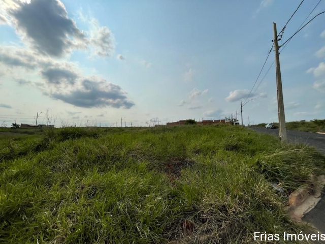 Terreno para Venda Bosque das Laranjeiras Catanduva 