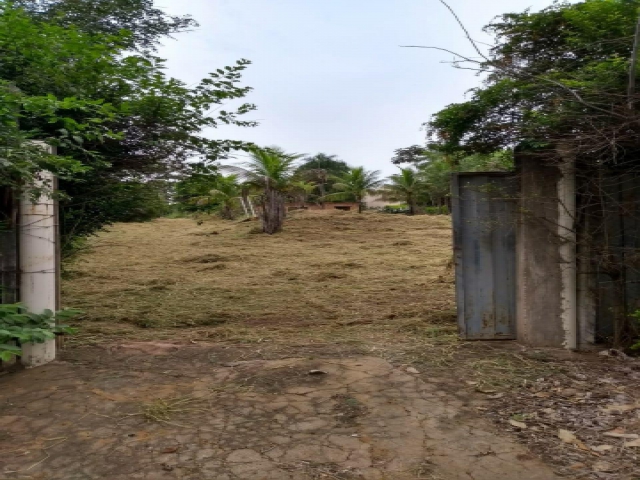 Chácara/Sítio para Venda Jardim dos Coqueiros Catanduva 