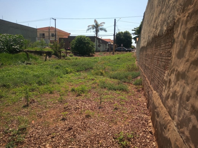 Terreno para Venda Agudo Romão  Catanduva 