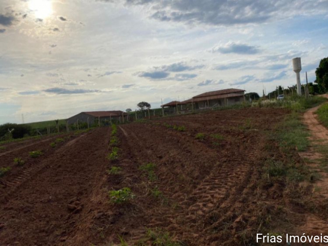 Terreno para Venda Km 10 Catanduva